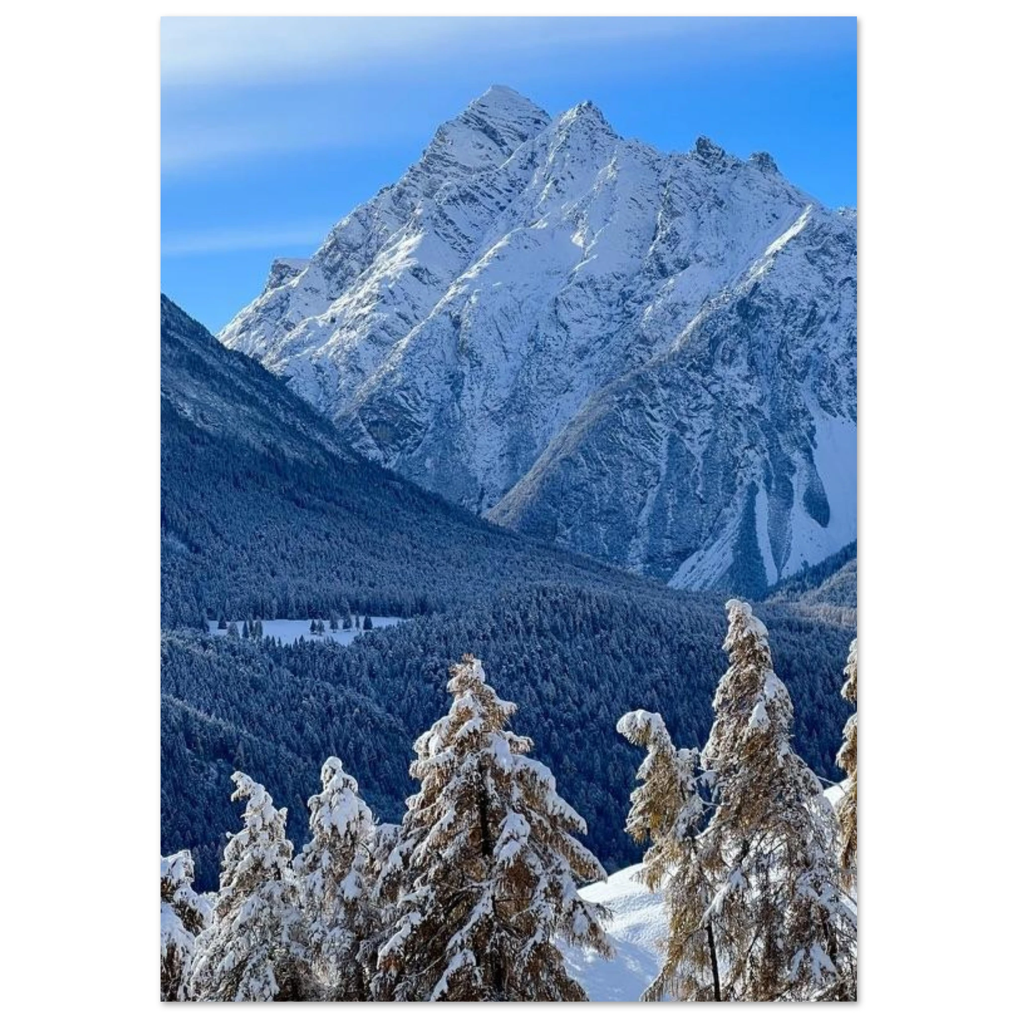 2243ac30-265f-4d6a-b29c-b2c1cbf5e792