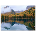 7ee2bc25-aa92-4d2d-9865-492e7de3bf55