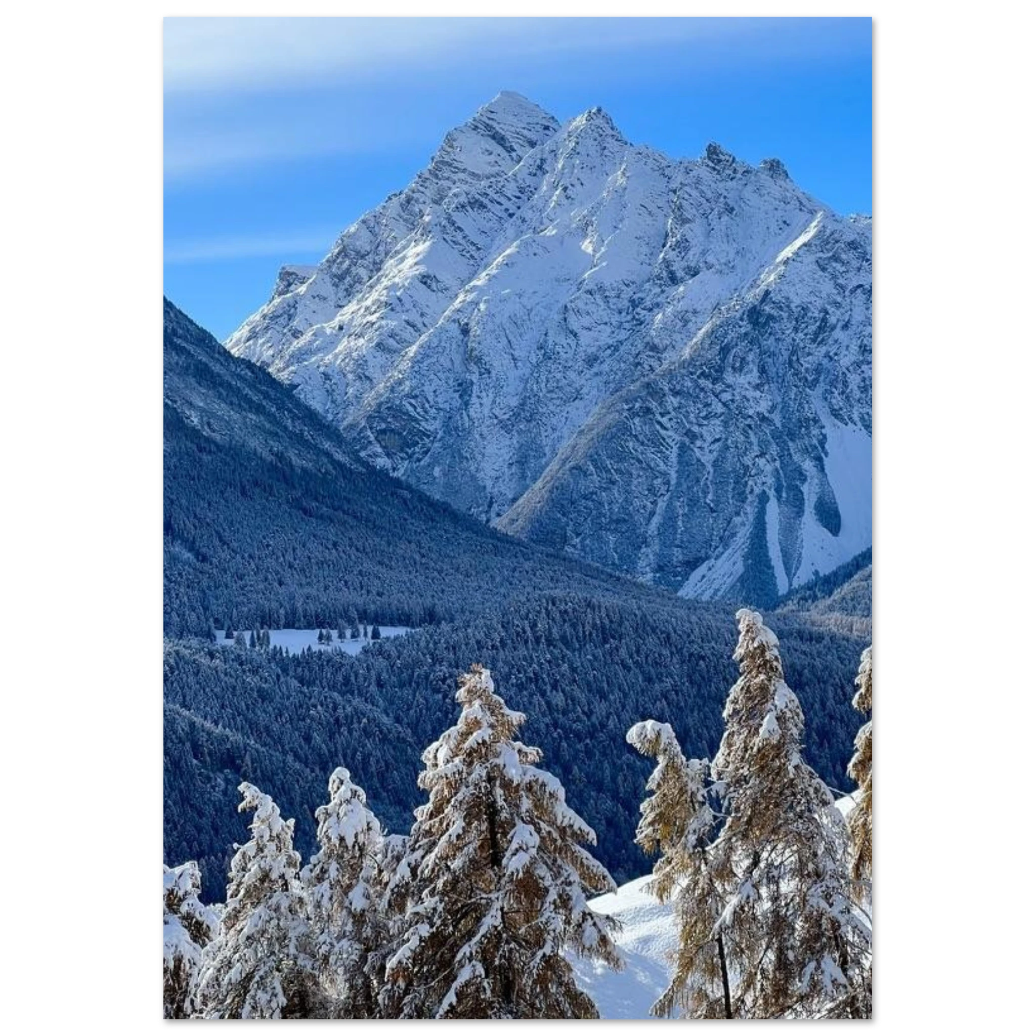 891f5167-e166-4856-8210-a1c02671ce51