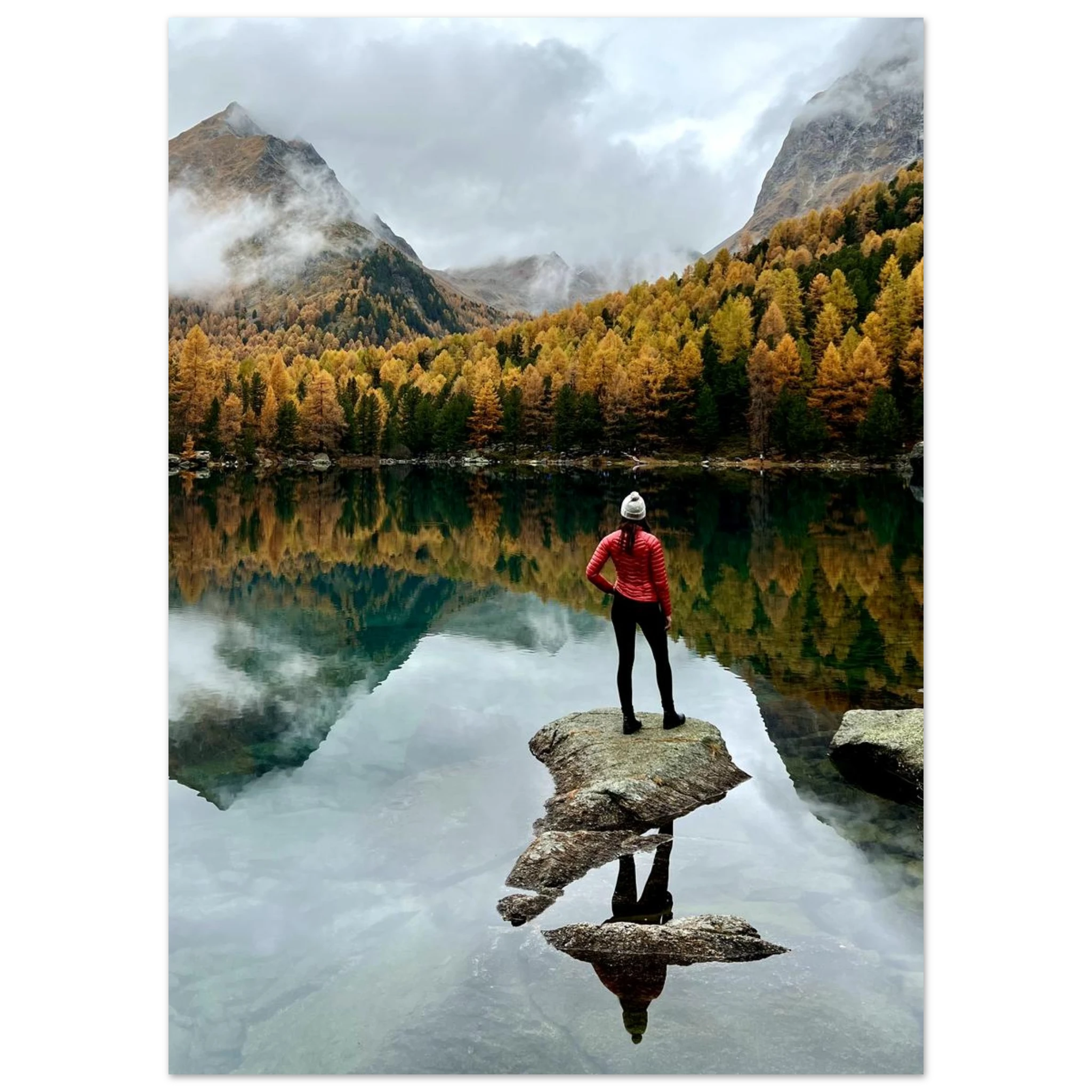 a01993f4-70b3-4620-9eb0-39beb83bfaf2