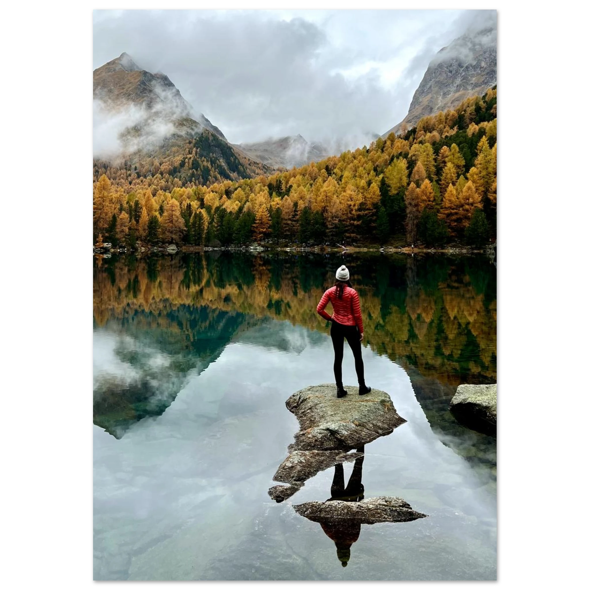 b23b36bf-461f-44b9-8be5-959a17cb7508